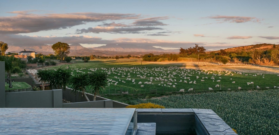 5 Bedroom Property for Sale in Oewersig Western Cape